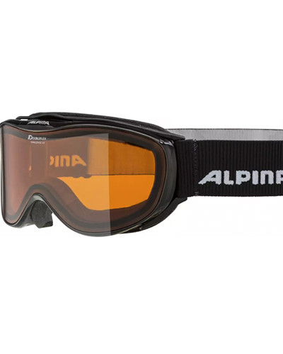 Ski Goggles